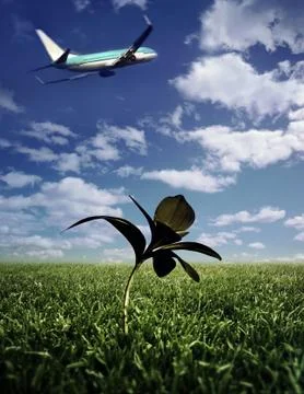 Airplane taking off Stock Photos