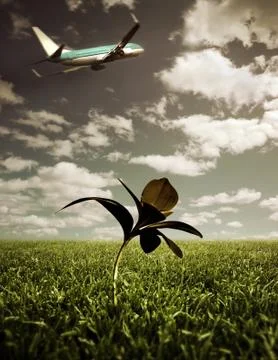 Airplane taking off Stock Photos