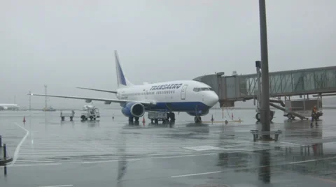 Airplane terminal Stock Footage 33731115