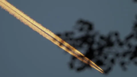 Airplane Travelling Evening Blue Sky Leaves Vapour Trails, Beautiful Clouds I Stock Footage 161009853