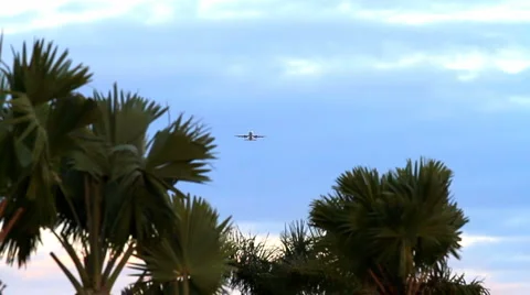 Airplane in the tropics Stock Footage 1053195