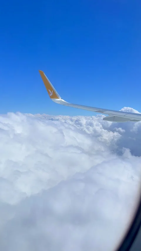Airplane Wing Above Clouds with Clear Blue Sky During Daytime Flight Stock Footage 310210037