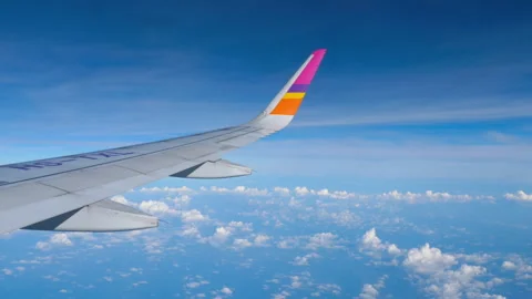 Airplane wing, cloudscape Stock-Footage 310465319