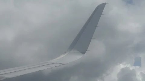 Airplane wing 库存影片 115686585