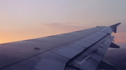 Airplane wing Stock Footage 335782545