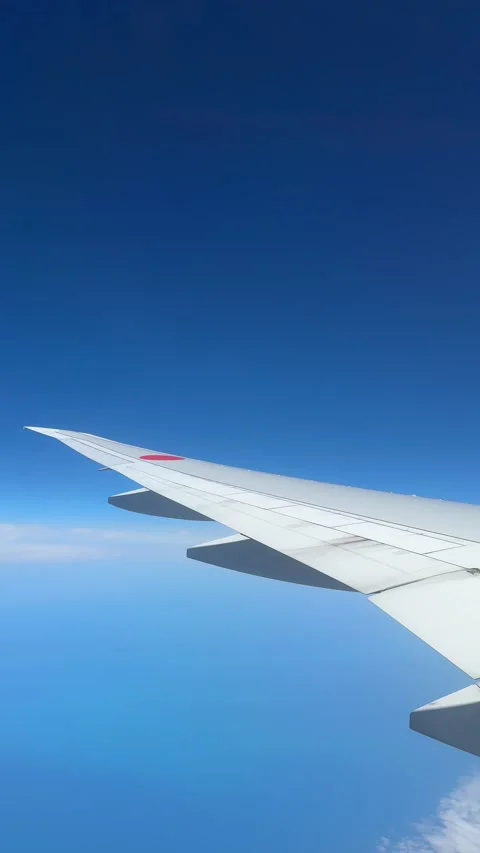 Airplane Wing Over Pacific Ocean in Flight Vertical Stock Footage 336816529
