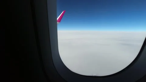 Airplane Wing with Pink Winglet Soaring Above Cloud Layer During Flight Stock Footage 309027341
