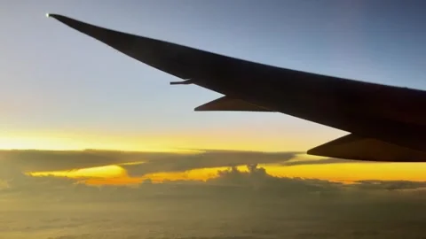 Airplane wing with sunset Stock Footage 304554886