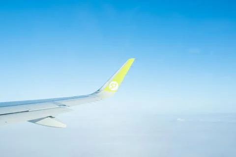 Airplane wing from window. Stock Photos