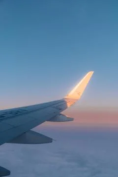 Airplane wing from window. Stock Photos