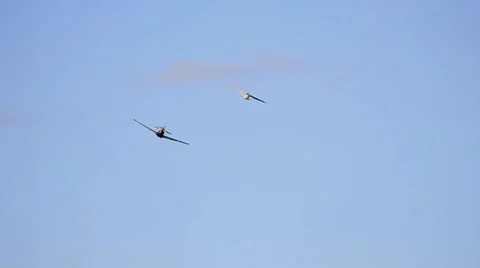 Airplanes Flying 動画素材 5299195