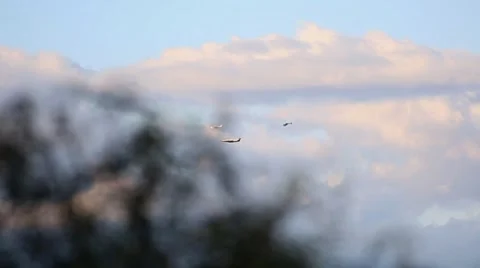 Airplanes Flying 動画素材 5314952