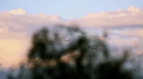 Airplanes Flying 動画素材 5315517