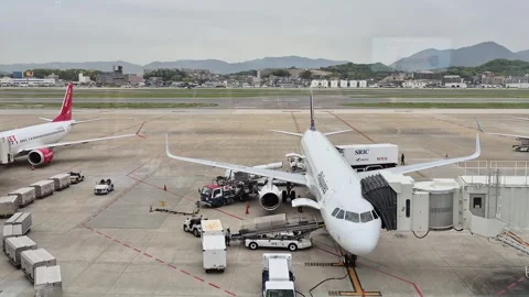 Airplanes parked at the terminal 库存影片 338317993