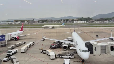 Airplanes parked at the terminal Vidéo 338318029