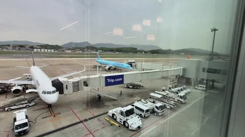 Airplanes parked at the terminal Vidéo 338318098