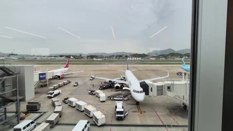 Airplanes parked at the terminal gates 库存影片 338317478