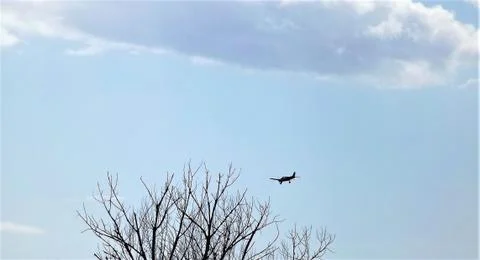 AIRPLANES IN THE SKY Fotos Stock