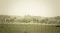 Airport activity stylized for World War II, planes take off HD Footage