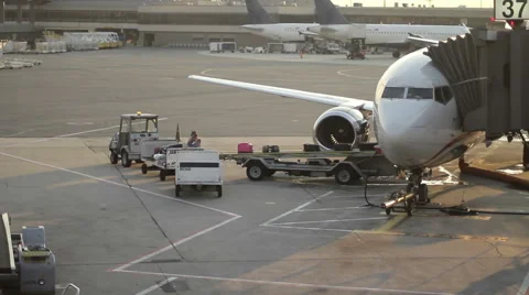 Airport Baggage Handler Video stock 50216139