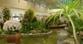 Airport Changi Singapore terminal scenery traveling passengers and lush greenery 4k or 4k+ Resolution