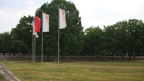 Airport flags 動画素材 137785134