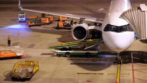 Airport ground crew loading cargo boxes onto airplane at night Stock Footage 320242152
