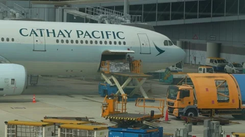 Airport ground crew loading a large, wrapped cargo pallet onto Cathay pacific Stock Footage 328719638