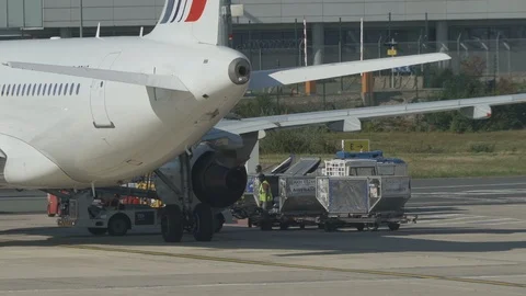 Airport ground support - workers move luggage from belt to luggage cart v4 Stock Footage 119831297