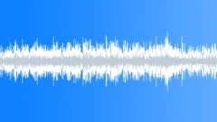 Airport Security Announcment 2 Sound Effect