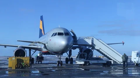 Airport technical staff checking the aircraft Stock Footage 99050331