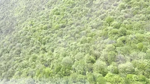 Airview from cable car in the longest ropeway cabin Wings of Tatev Stock Footage 293002607