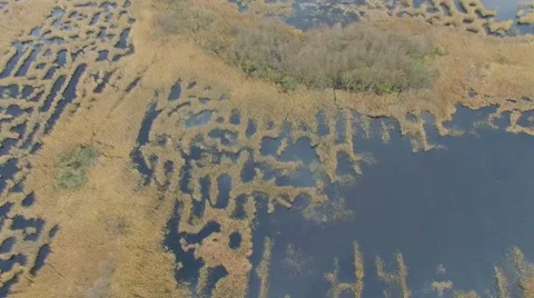 Airview over the swamp Stock Footage 63084579
