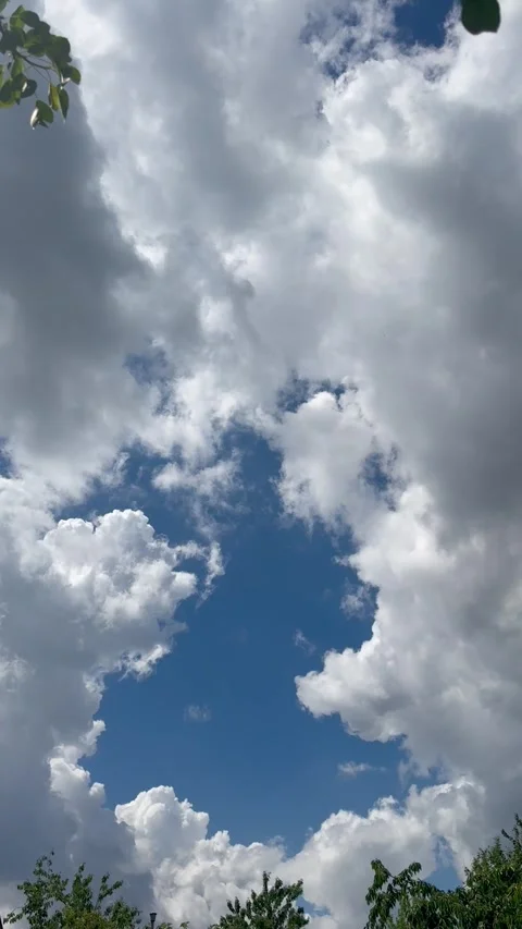 Airy Cloudscape Above Tree Tops Stock Footage 309537011