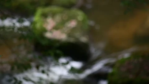 Aisttal in Upper Austria 库存影片 140359000