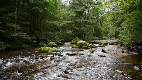 Aisttal in Upper Austria Vidéo 140359255