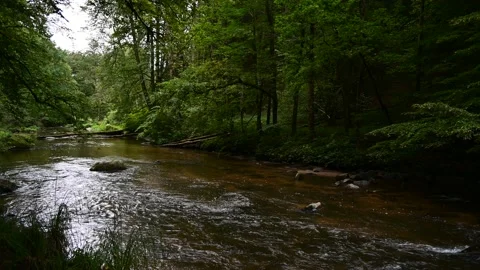 Aisttal in Upper Austria Stock Footage 140359302