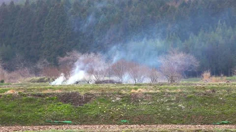 Aizu region of the spring Stock Footage 11066159