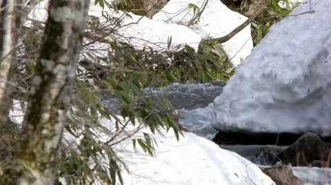 Aizu region of the spring Stock Footage 11067289