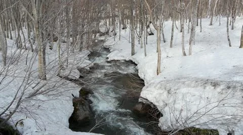 Aizu region of the spring Stock Footage 11067293