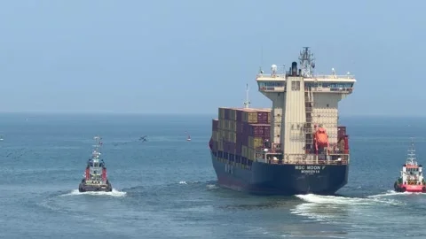 Ajman, UAE - 19 April 2026: MSC Houston V container ship escorted by tugboats Stock Footage 345035539