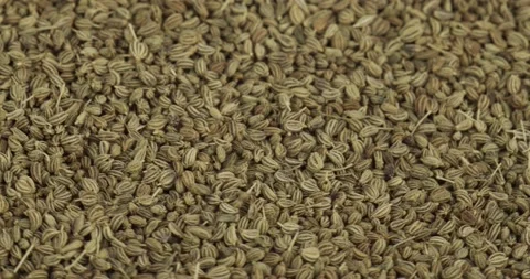 Ajowan seeds closeup rotating selective focus Stock Footage 168796242