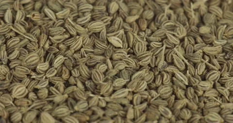 Ajowan seeds closeup rotating selective focus Stock Footage 199633682