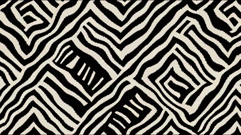 Ajrakh animation and block print animation and batik print Stock Footage 220105881