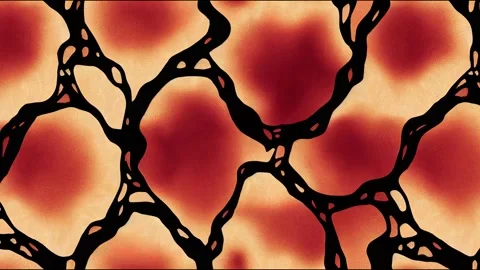 Ajrakh animation and block print animation and batik print Stock Footage 220106015
