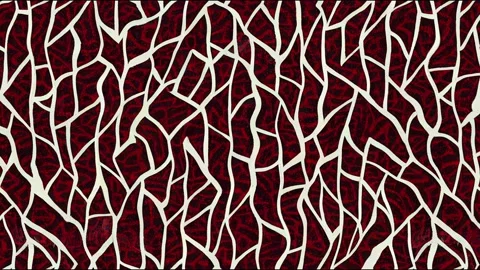 Ajrakh animation and block print animation and batik print Stock Footage 220106056