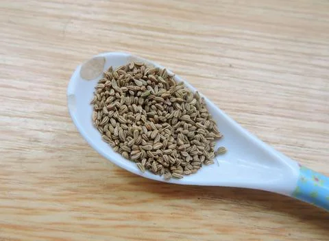 Ajwain or Bishop's weed Fotos de archivo