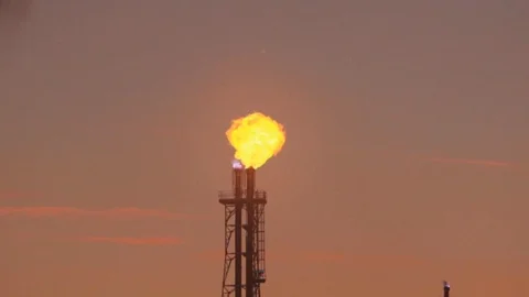 AK3A5420 Original Stock Footage 127655153