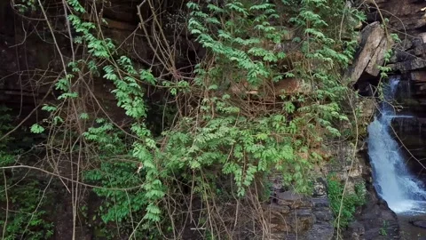 Akaa Falls Vídeos de archivo 310508540