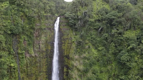 Akaka Falls Stock-Footage 75391331